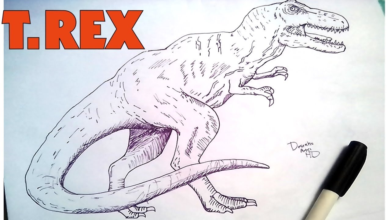 Dinossauro Tyrannosaurus Rex 01 / Rosto / Desenho