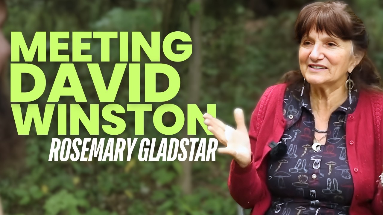 Как Розмари Глэдстар впервые встретила Дэвида Уинстона | История Брайтенбуша