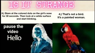 Strange illusions (isn't it) |nikki nishi|