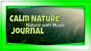 Calm Nature Journal - cool & calm, soft & slow instrumental Nature with Music - relaxdaily n°079 screenshot 1