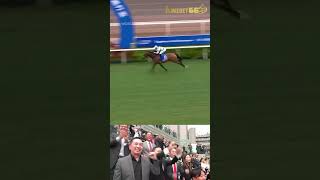 Voyage Bubble Celebrate Their Superstars Historic Triplecrown Victory In The G1chdanionsu0026chatercup