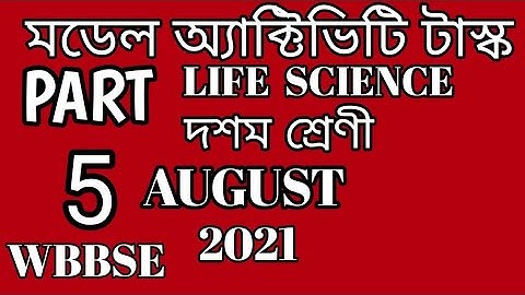 Model Activity Task Life Science Part 5 #modelactivitytask #lifescience #wbbse #part5 #class10