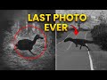 28 Last Photos of Extinct Animals | Full Series