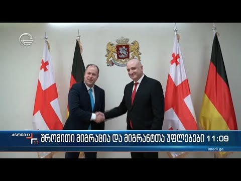 შრომითი მიგრაცია და მიგრანტთა უფლებები