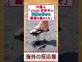 猛暑すぎて世界がバグってる!? 海外の“灼熱”画像がヤバい【面白スレ】