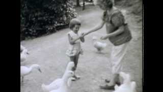 Ducks & Constitution Park, Cumberland, MD, 1954