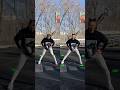 Lunges Tips Lunges Lungesandsquats Legs Legworkout Fittips Gymbeginner Gymtips Sports 