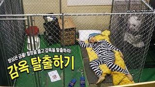 방탈출하기! 철창을 넘어 감옥을 탈출하라! - 허팝 (Escape the Prison Cage) screenshot 4