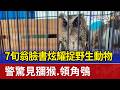 7旬翁臉書炫耀捉野生動物 警驚見獼猴.領角鴞
