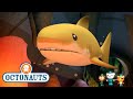 @Octonauts - The Lost Lemon Shark | Full Episode 42 | @Octonauts and Friends