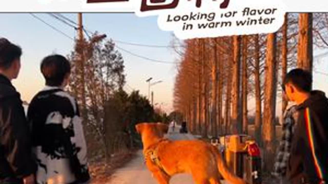 种地vlog day72合集，少年之家基建完成，大型回归现场#种地吧少年 #十个勤天做大做强