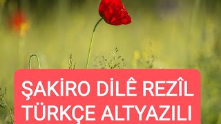 Şakiro - Dilê Rezîl (Türkçe Altyazılı)