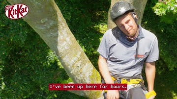 AI made this ad so we could take a break...Tree Surgeon