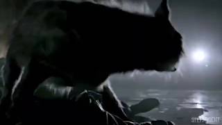 Hayley Marshall She Wolf