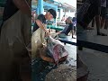 Watching young men skillfully cut yellowfin tuna #fish #tuna #talon #fypシ゚viral #fishcutting