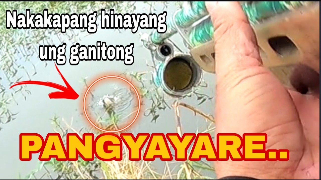 SA PALAYAN MUNA BAGO MANIKSAY /Airgun Fishing /Fishgunerong Madiskarte