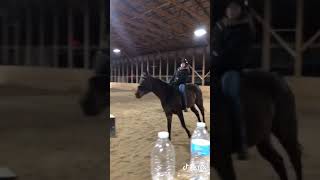 Cantering bareback!
