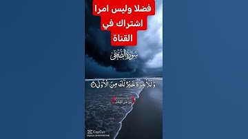 القرآن الكريم #اكسبلور #دويتو #رمضانمبارك #تيك_توك #لايك #duet #حالات_واتس #ترند #في #لا