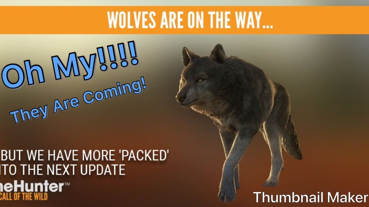 Grey Wolves Are Confirmed!!!The Hunter Call Of The Wild YouTube