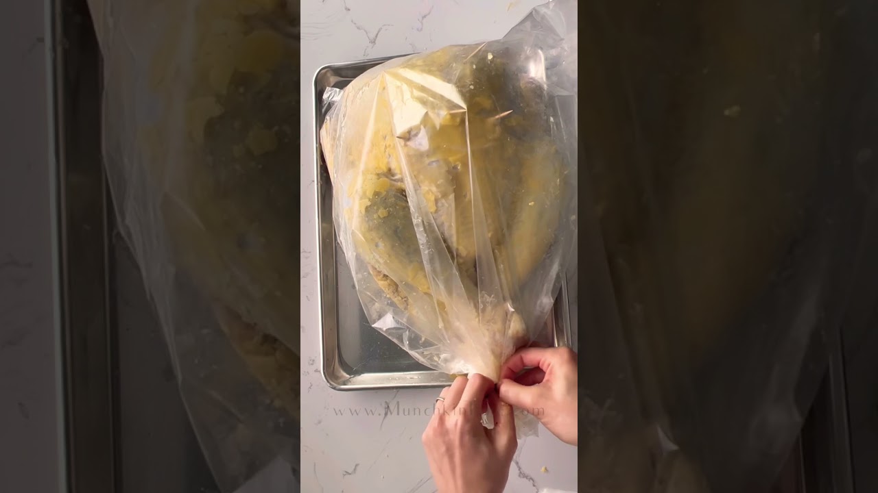 How to Cook a Turkey in a Bag - Munchkin Time