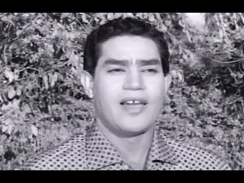 رمش عينه   _   محرم فؤاد