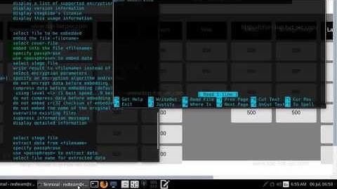 Steganography  Motivated CTF (THS)