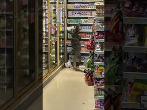 Funniest ANIMAL FAILS IN 1 Minute! #1 🤣   SHORT & FUNNY Animal Videos #Shorts