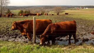 Video thumbnail of "Aaron Copland - Hoedown"