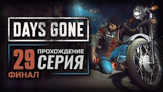 ОДИН ТЫ НЕ СПРАВИШЬСЯ — DAYS GONE | ПРОХОЖДЕНИЕ [#29] — ФИНАЛ