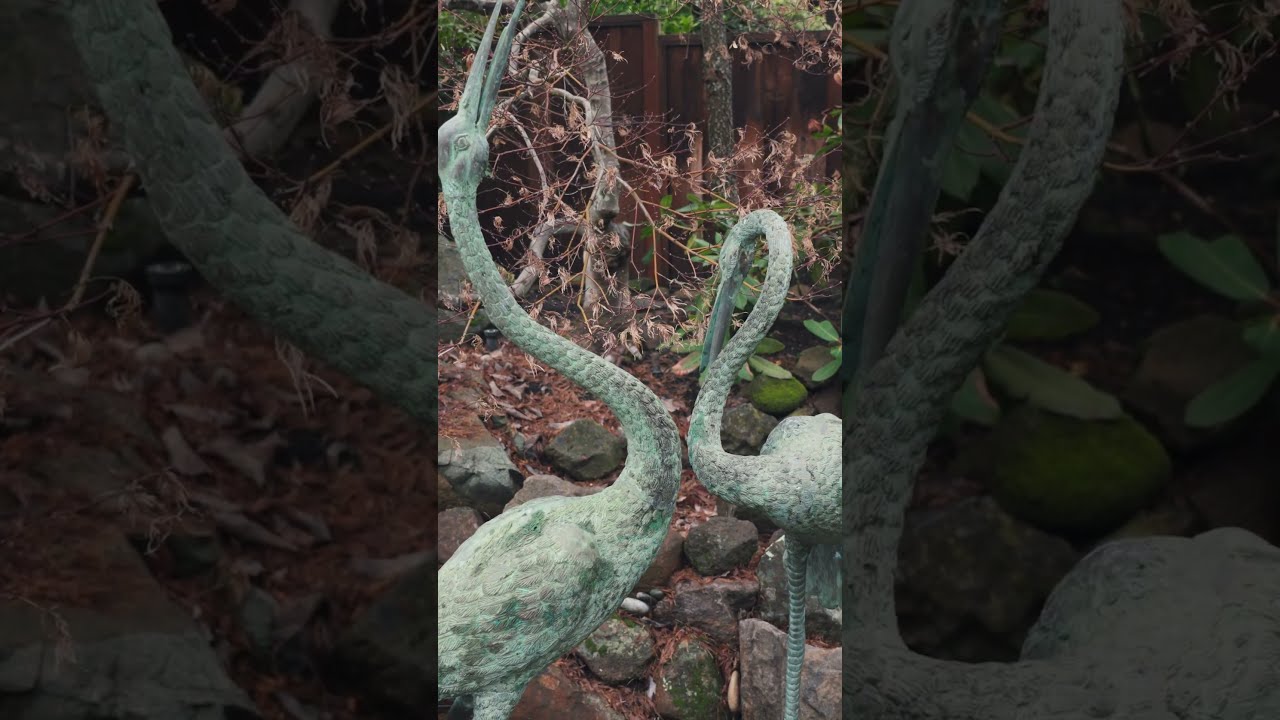 WHY TO GET A POND CLEANOUT... 