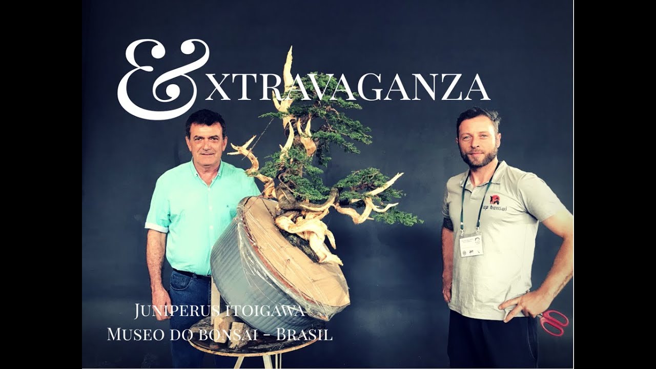 Extravaganza YouTube