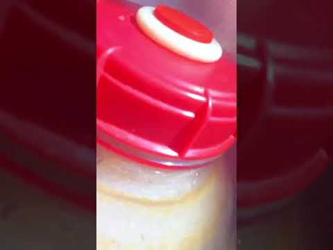 Let’s check out how PBC’s Icelandic Lager “Kodiak Frost” is doing in the Fermenter?