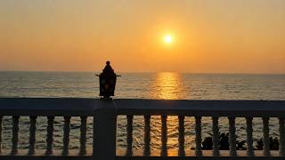 🍃 Nature Speaks in Silence | Sunset Whispers & Ocean Rhythms 🌊