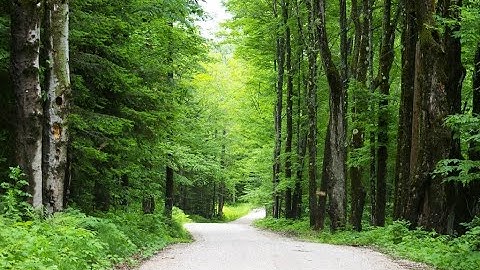 Discover Vermont Inn to Inn Walking Tours