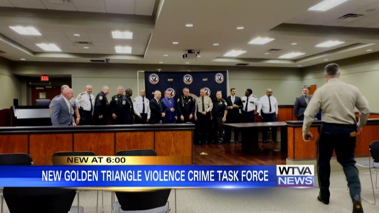 New crime task force formed in Golden Triangle to boost safety - YouTube