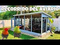 Aviario de Pajaros ( Aves Exoticas ) | Voladero Natural