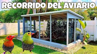 Aviario de Pajaros ( Aves Exoticas ) | Voladero Natural