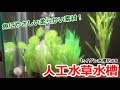 セイゲン水槽記#8 人工水草水槽 ！魚にやさしい柔らかい素材～ジェックスピュアプランツ