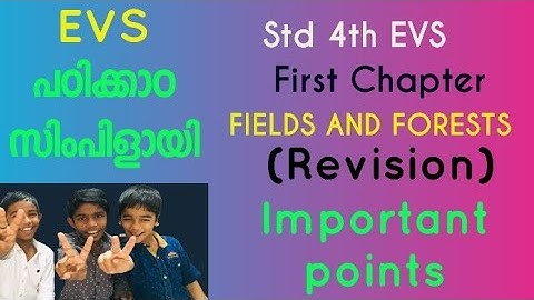 4th EVS fields and forests