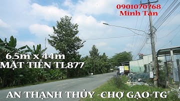bán gấp 250m đất mặt tiền tỉnh lộ 877 tại An Thạnh Thủy , Chợ Gạo ,Tiền Giang 6,5m x 44m