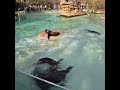Berlin #love #berlin #berlinvlog #zoo