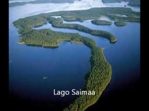 Vídeo: Lago Paasselka. Finlandia - Vista Alternativa
