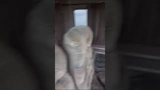 VID 20230909 WA0026