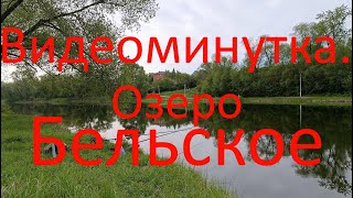 Видеоминутка. Озеро Бельское. Город Бронницы.14.05.2024.