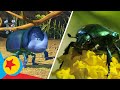 A Bug's Life Real Life Side-by-Side | Pixar