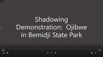 Shadowing Demonstration: Ojibwe in Bemidji State Park