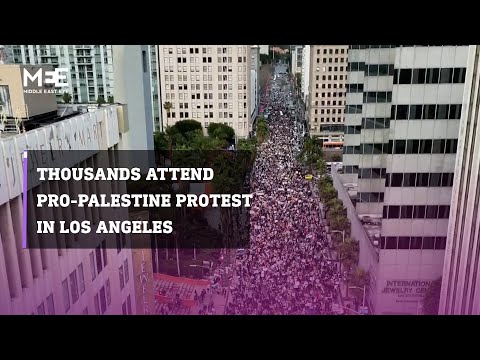 Thousands attended a pro-Palestine protest in Los Angeles