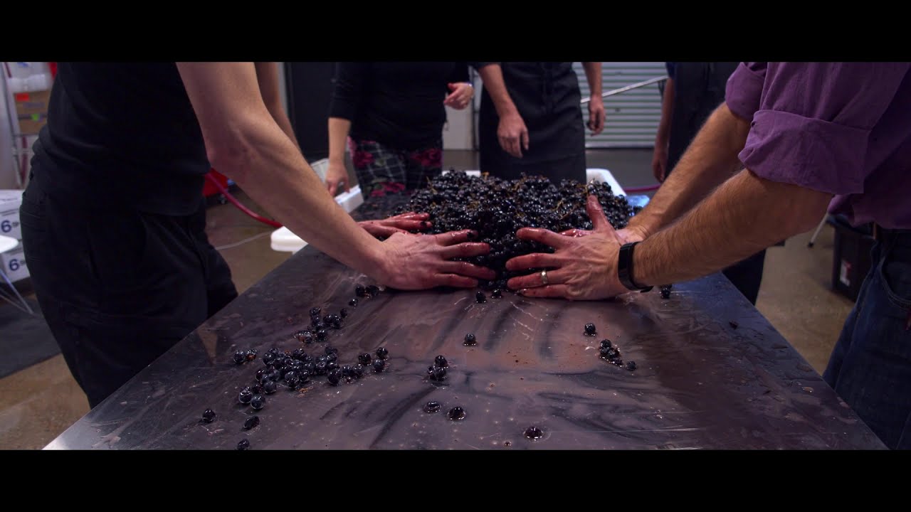 City & Country Grape Stomp for the 2019 vintage!
