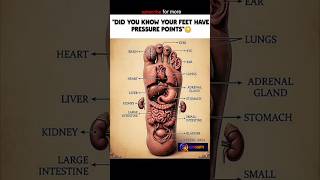 #feet #pressure #points #beats #luzroja #edit #healthylifestyle #healthtips #healthy #didyouknow