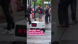 Delivery bot 'love struck' by heartless driver